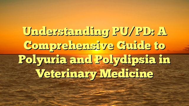 Understanding PU/PD: A Comprehensive Guide to Polyuria and Polydipsia in Veterinary Medicine