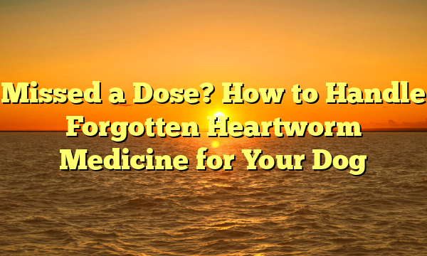 Missed a Dose? How to Handle Forgotten Heartworm Medicine for Your Dog