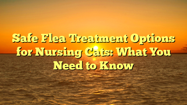Safe Flea Treatment Options for Nursing Cats: What You Need to Know