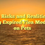 The Risks and Realities of Using Expired Flea Medicine on Pets