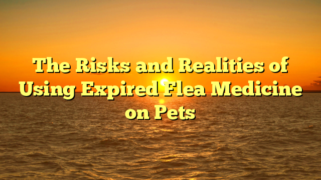 The Risks and Realities of Using Expired Flea Medicine on Pets